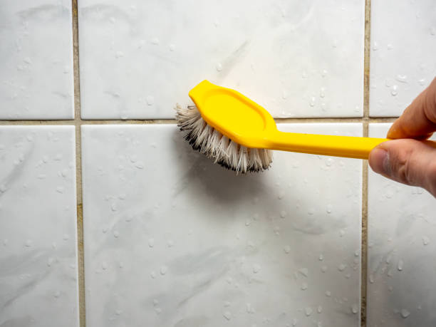 Best Residential Mold Removal  in Harlem, GA