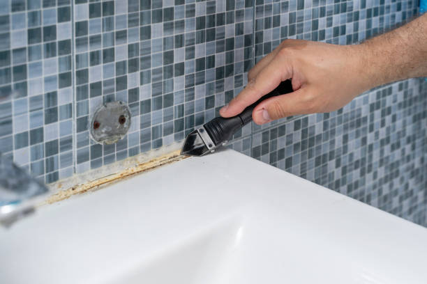 Best Toxic Mold Removal  in Harlem, GA